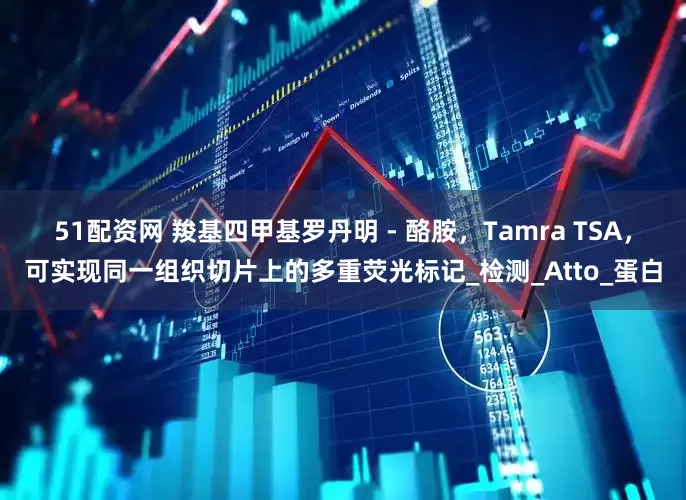 51配资网 羧基四甲基罗丹明 - 酪胺，Tamra TSA，可实现同一组织切片上的多重荧光标记_检测_Atto_蛋白