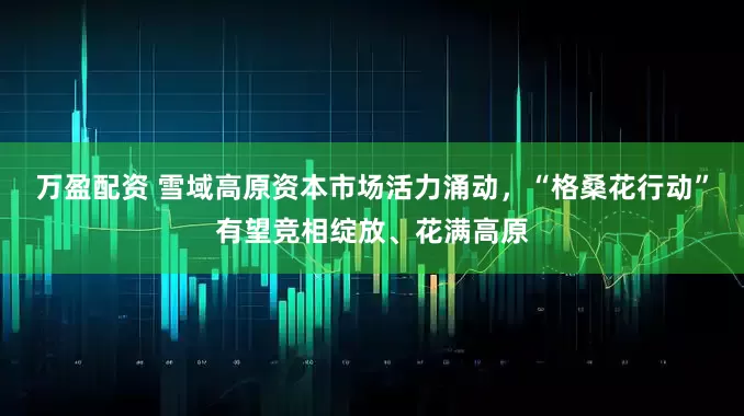 万盈配资 雪域高原资本市场活力涌动，“格桑花行动”有望竞相绽放、花满高原