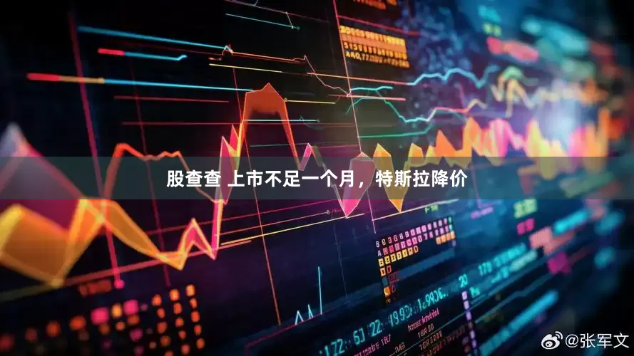 股查查 上市不足一个月，特斯拉降价