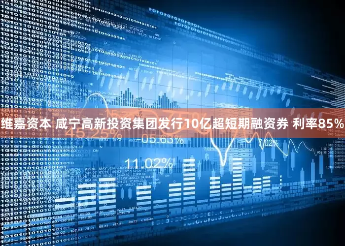 维嘉资本 咸宁高新投资集团发行10亿超短期融资券 利率85%
