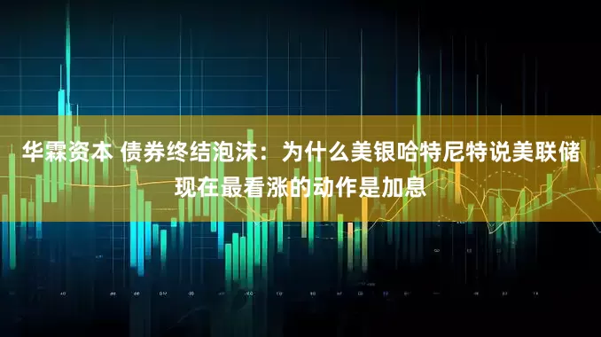 华霖资本 债券终结泡沫：为什么美银哈特尼特说美联储现在最看涨的动作是加息